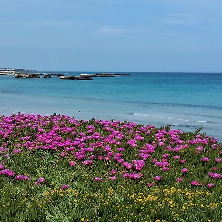 Διαμέρισμα Ester San Foca